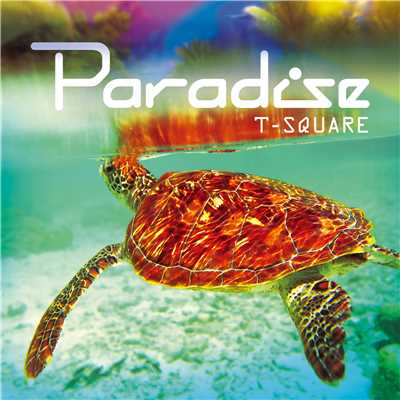 アルバム/PARADISE/THE SQUARE