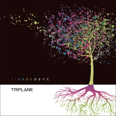 Evergreen/TRIPLANE