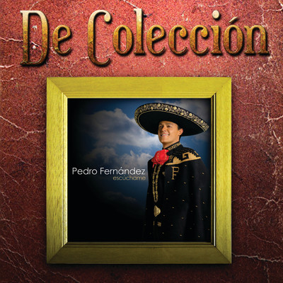 シングル/Eres Toda Una Mujer (Album Version)/Pedro Fernandez