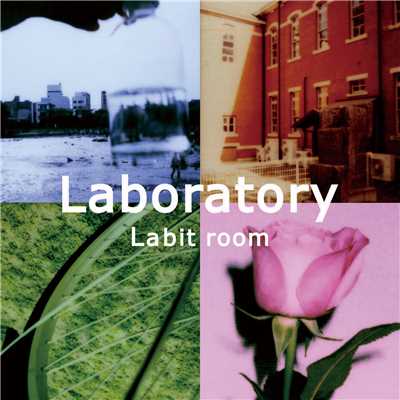 LABORATORY/LABIT ROOM