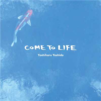 アルバム/COME TO LIFE/Yoshiharu Yoshida