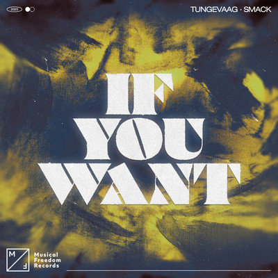 シングル/If You Want (Extended Mix)/Tungevaag x SMACK
