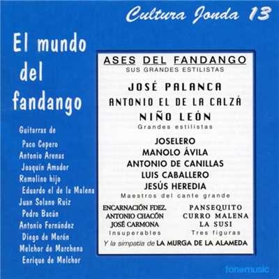 Cultura Jonda XIII. El mundo del fandango/Various Artists