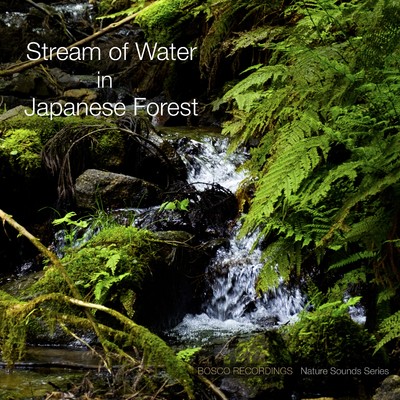 Stream of Water in Japanese Forest/BOSCO RECORDINGS