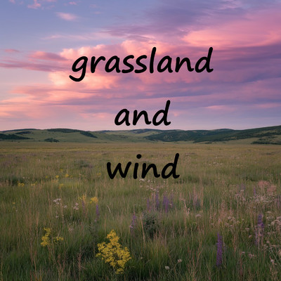 シングル/grassland and wind/Seraphim
