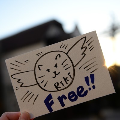 Free！/Riki