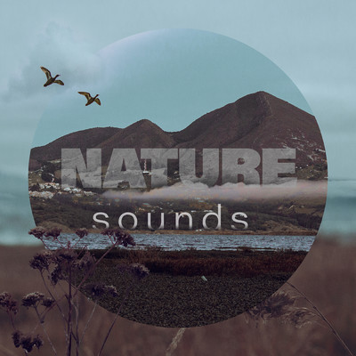 アルバム/Nature Sounds/White Sounds