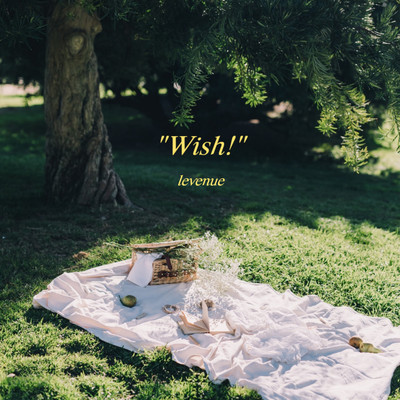 Wish！/LEVENUE