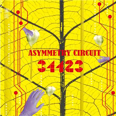 シングル/Asymmetry Circuit (Primula remix)/34423