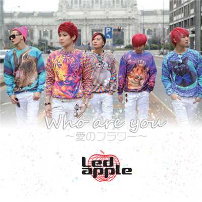 アルバム/Who are you ～愛のフラワー～/LEDApple
