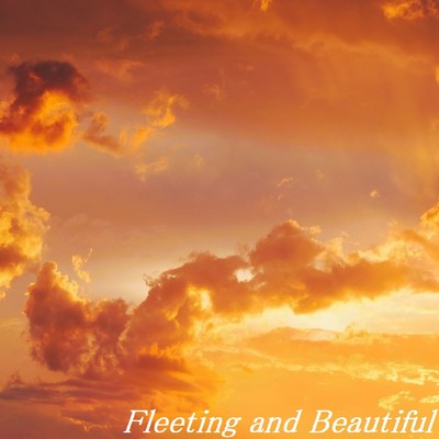 Fleeting and Beautiful/TandS