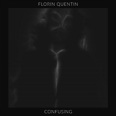 Consciousness/Florin Quentin