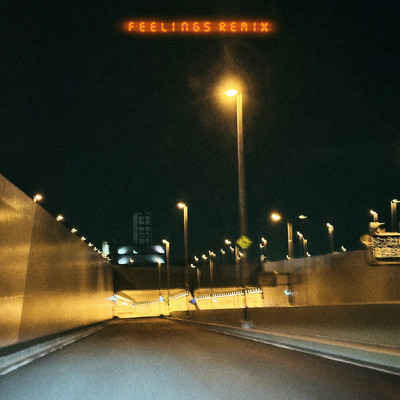 シングル/FEELINGS (REMIX)/3House