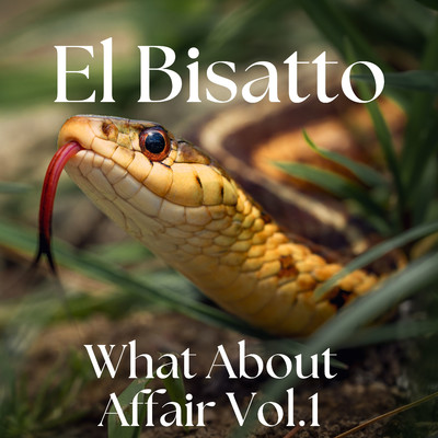 シングル/What About Affair/El Bisatto