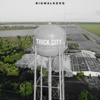アルバム/Trick City (Deluxe)/BigWalkDog