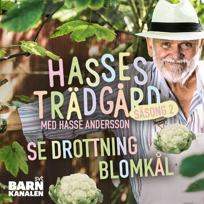 アルバム/Drottning Blomkal/Hasse Andersson