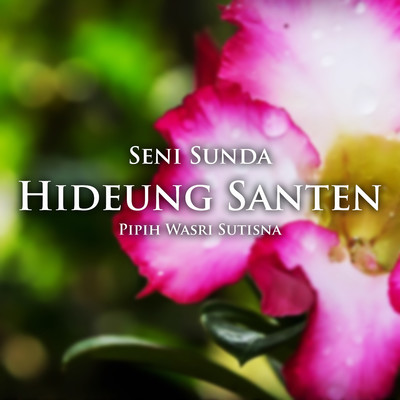 Seni Sunda Hideung Santen/Pipih Wasri Sutisna