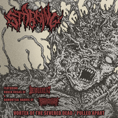Vortex of the Severed Dead feat.Devourment/Stabbing
