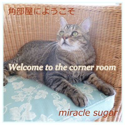 miracle sugar
