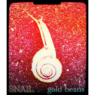 シングル/tool box/Gold Beans