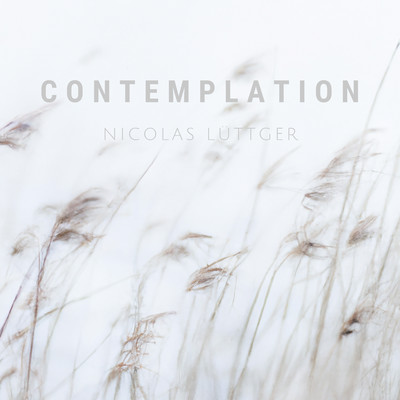 Contemplation/Nicolas Luttger