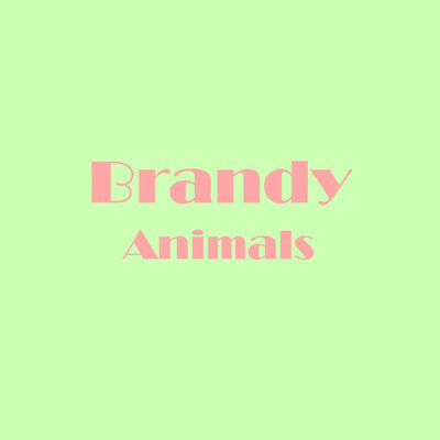 シングル/Animals/Brandy