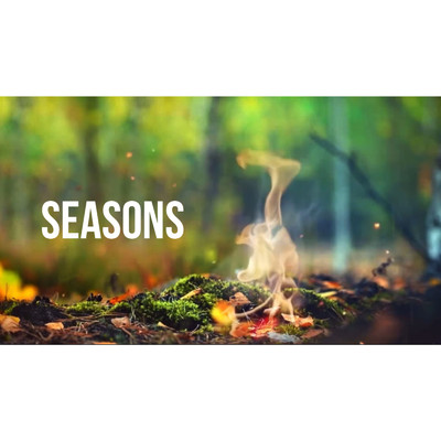 シングル/Seasons/SAVIER