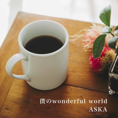 僕のwonderful world/ASKA
