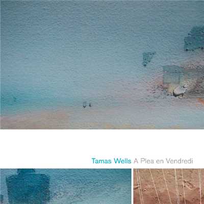 Lichen and Bees/Tamas Wells