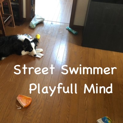 アルバム/Playful Mind/Street Swimmer