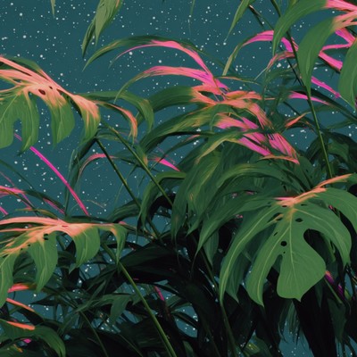 シングル/Botanica/Takumi Chiva