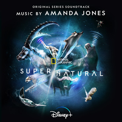 Spiders and Mosquitos (From ”Super／Natural”／Score)/Amanda Jones／National Geographic