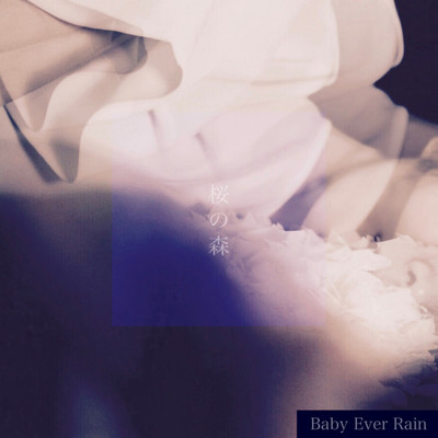桜の森/Baby Ever Rain