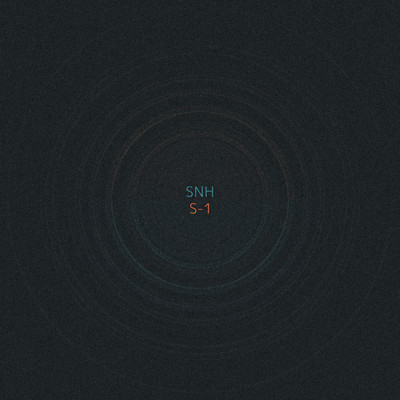 S-1/SNH