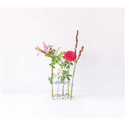 アルバム/flower vases/TAMIW