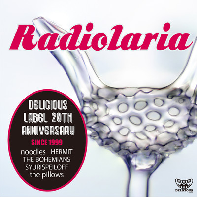 Radiolaria/Various Artists