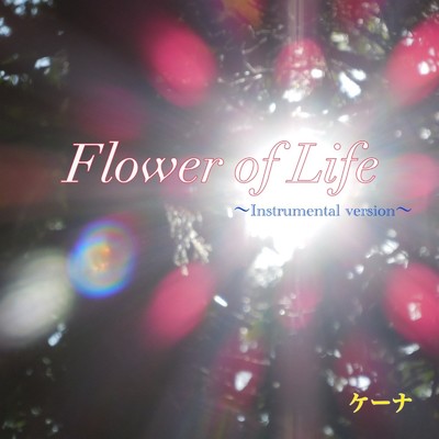 Flower of Life ～Instrumental version～/Quena