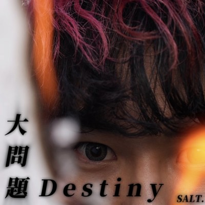 シングル/大問題Destiny/SALT.