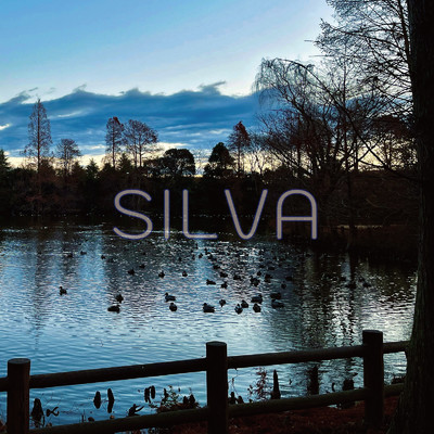 SILVA/Nature Ambient