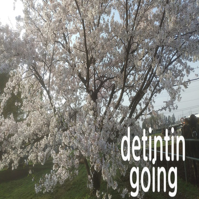 アルバム/going/detintin