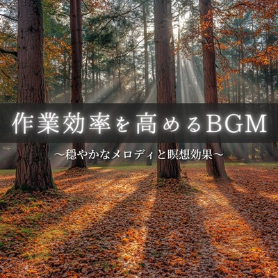 シングル/風が運ぶ思い出/FM STAR & healing music for sleep