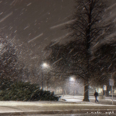 a winter night/Dalmoori