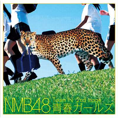 Don't disturb！/NMB48 Team N