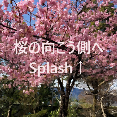シングル/桜の向こう側へ/Splash↑