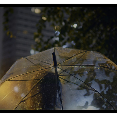傘/便所の草
