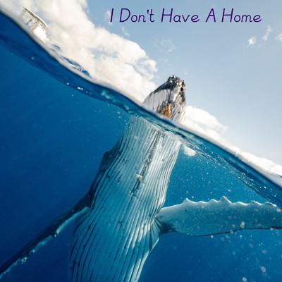 I Don't Have A Home/Anthony Koepp