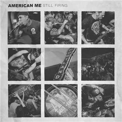 シングル/Passing Ships/American Me