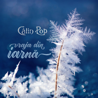 Vraja din iarna/Calin Pop