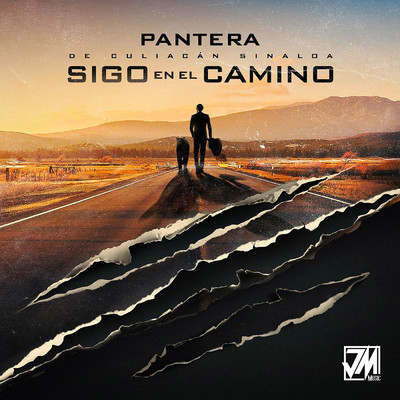 アルバム/Sigo En El Camino/Pantera De Culiacan Sinaloa