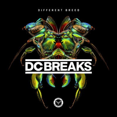 Different Breed/DC Breaks